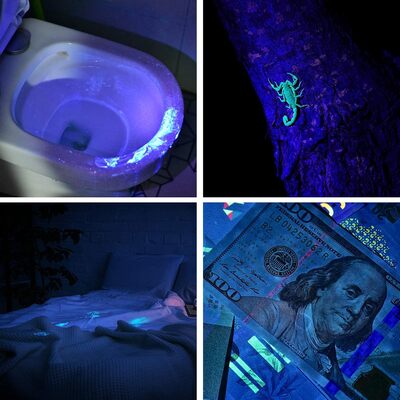 Lampe de poche UV LED Wuben Noire E19UV-BL - KNIFESTOCK