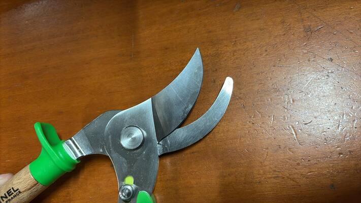 Opinel 001628 Gartenschere Grün  - KNIFESTOCK