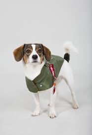 Alpha Industries Dog MA-1 Nylon Flight Jacket L 163901/01/L