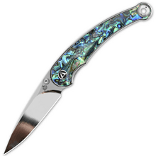 QPS Dolphin 14C28N, spegelpolerad, Handtag: Abalone QS161-D - KNIFESTOCK