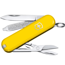 VICTORINOX Classic SD Colors, Sunny Side 0.6223.8G - KNIFESTOCK