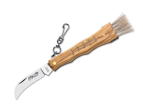 Fox Knives FUNGHI OLIVE WOOD couteau à champignons 01FX076 - KNIFESTOCK