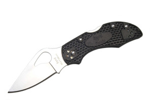 Spyderco BYRD ROBIN 2 FRN HANDLE 01SP1010P - KNIFESTOCK