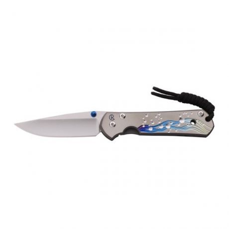 Chris Reeve Large Sebenza 21 CGG Seagrass L21-1036