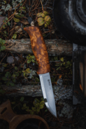 Helle Gaupe Curly birch handle, H3LS blade, black sheath HE-200310 - KNIFESTOCK