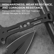 KIZER NORCROSS | M390 | Carbon Fiber | ZX-FB01A1 - Double Edged - KNIFESTOCK