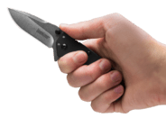 Kershaw CRYO G-10 Assisted Flipper Knife K-1555G10 - KNIFESTOCK