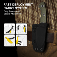 Kizer Rook AEB-L,Satin,Micarta - KNIFESTOCK