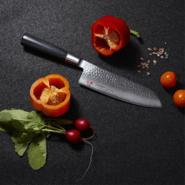 Dellinger Japan Santoku Knife 167mm Suncraft Senzo Classic Damascus VG10 - KNIFESTOCK