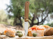 BÖKER PLUS RUSTICUS Linerlock 01BP0048 - KNIFESTOCK
