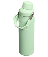 Stanley  Termoláhev The IceFlow™ Bottle Fast Flow 700 ml/24oz Pistachio 10-11287-590 - KNIFESTOCK