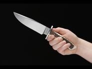 Böker Arbolito 02BA593H Esculta Griff aus Hirschhorn - KNIFESTOCK