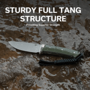 CIVIVI Cloud Peak OD Green G10 Handle With Nickel-Silver Guard Satin Finished Nitro-V - KNIFESTOCK