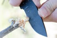 TOPS KNIVES Overlander 2 OV78 - KNIFESTOCK