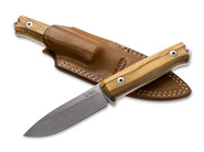 LionSteel B40 Olive Wood 02LS037 - KNIFESTOCK