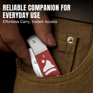 Kizer Trestle 14C28N Aluminium &amp; G10 -  Xmas edition - KNIFESTOCK