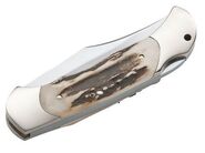 Böker Optima Hirschhorn 113004st - KNIFESTOCK