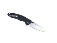 Ruike P841-L Vert&amp;Noir - KNIFESTOCK