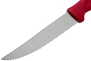 WUSTHOF na PIZZU/STEAK 10cm - KNIFESTOCK