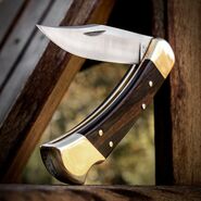 BUCK 110 Hunter Lockback, Ébenfa Markolat, Bőr Tok BU110 - KNIFESTOCK