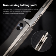 REMETTE RT-Squirrel Knife RTDP-G - KNIFESTOCK