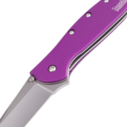 Kershaw Praz violet K-1660PUR - KNIFESTOCK