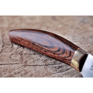 Dellinger Japan Paring Knife 100 mm Suncraft Elegancia SG2 - KNIFESTOCK