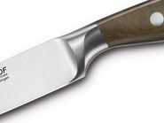 Set WUSTHOF EPICURE 4 pezzi, coltello da bistecca - KNIFESTOCK