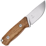 Fox-Knives Muzzle Fixed Knife Stainless Steel Becut Satin Blade, Olive Wood Handle FX-664 OL - KNIFESTOCK