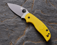Spyderco Sage 5 Lightweight Salt  Alzheimer&#039;s C123PYL - KNIFESTOCK