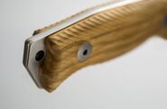 Lionsteel Fixed knife knife SLEIPNER blade Olive wood handle, leather sheath M5 UL - KNIFESTOCK