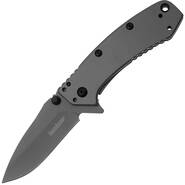 Kershaw CRYO Assisted Flipper Knife K-1555TI - KNIFESTOCK
