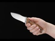 BÖKER ARBOLITO BUFFALO SOUL 42 02BA316W - KNIFESTOCK