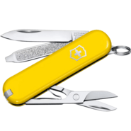 VICTORINOX Classic SD Colors, Sunny Side 0.6223.8G - KNIFESTOCK