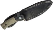 Lionsteel SOLID fixed blade GREEN CANVAS handle with leather sheath Niolox BLACK T5B CVG - KNIFESTOCK