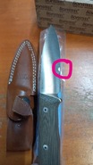 Lionsteel Fixed Blade SLEIPNER satin Green CANVAS handle, leather sheath B35 CVG - KNIFESTOCK