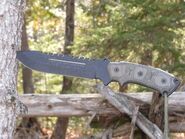 Tops Knives Steel Eagle TP107C - KNIFESTOCK