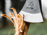 Böker Plus Appalachian Origin Mini Axe 09BP0001 - KNIFESTOCK