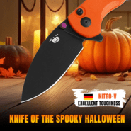 Kizer Halloween Special Button Liner Lock Mini Grouper Azo Nitro V G10 V3669A4 - KNIFESTOCK