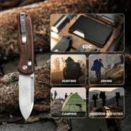 Kizer Drop Bear Azo Nitro V Wood V3619A6 - KNIFESTOCK