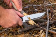 BPS Knives Adventurer Nighthawk BPS-Adventurer-Nighthawk - KNIFESTOCK