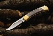 BUCK 110 Hunter Lockback, Ébenfa Markolat, Bőr Tok BU110 - KNIFESTOCK