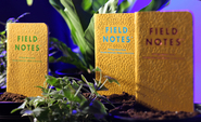 Field Notes Signs of Spring 3-Pack (Dot-Graph paper) FNC-54 - KNIFESTOCK