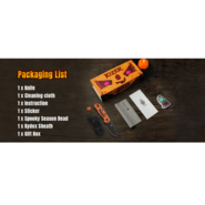 Kizer Drop Bear Fix 14C28N G10 1094HW1 - KNIFESTOCK