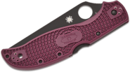 Spyderco C258BGBKP - KNIFESTOCK