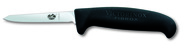 Victorinox nůž na drůbež 8 cm fibrox 5.5903.08 - KNIFESTOCK