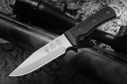 TOPS KNIVES Air Wolfe AIR-01 - KNIFESTOCK