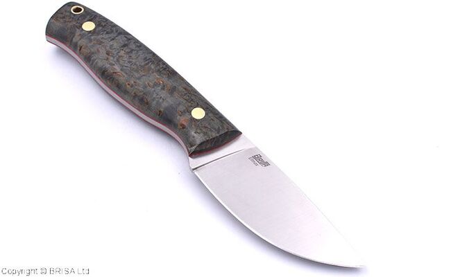 Brisa Skinner 90-Stabilized curly birch Elmax Flat Sheath Skinner BRS-361-66125-66128 - KNIFESTOCK