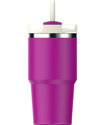 Stanley  The Quencher/Cup H2.O FlowState™ Tumbler 0.6L/20oz Violet Blossom 10-10826-362 - KNIFESTOCK