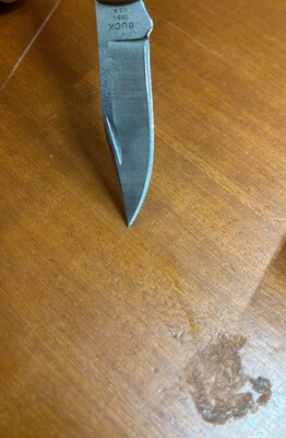 BUCK The 55®   BU-0055BRS - KNIFESTOCK